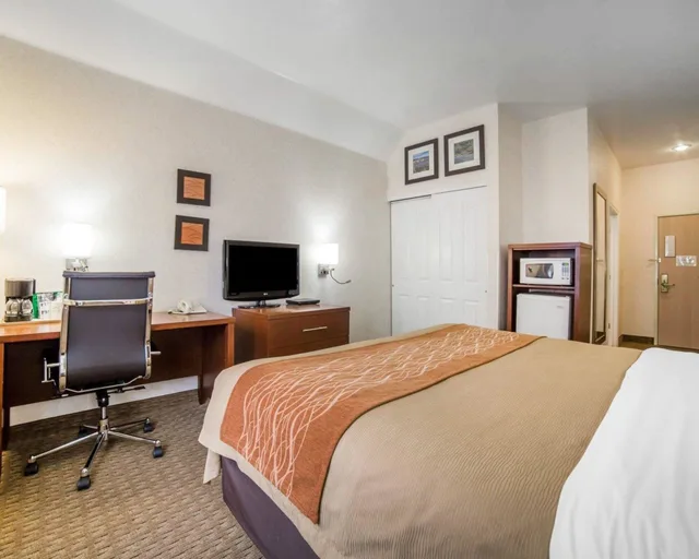 غرفة بسرير كينج لذوي الإعاقة، Comfort Inn Elko 7/9