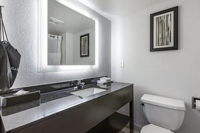غرفة بسرير كينج بجاكوزي، Comfort Inn & Suites Grand Blanc/Flint 8/10