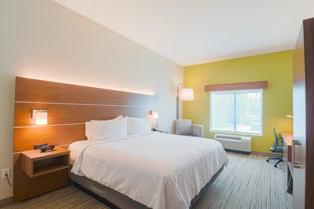 غرفة بسرير كينج لذوي الإعاقة، Holiday Inn Express Hotel Suites Tampa Usf Busch Gardens 2/4