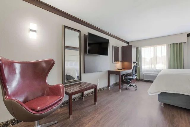 Suite, King Bed, The Leo Collection Detroit, an Ascend Collection Hotel 8/10