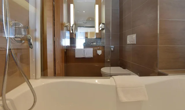 Room, Double Bed, Lake Side, Seehotel Rust 9/10