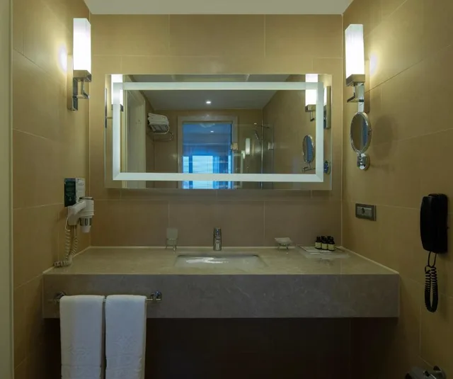 French, Executive, City View، Windsor Hotel & Convention Centre Istanbul 4/4