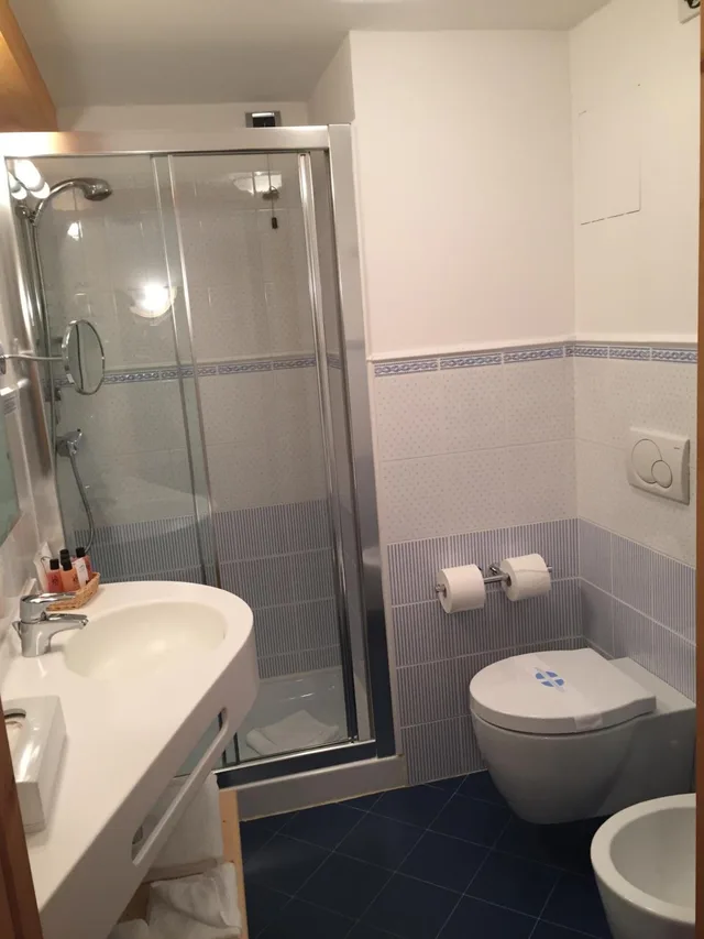 غرفة قياسية بسرير مزدوج أو سريرين منفصلين بإطلالة على الحديقة، Campiglio Bellavista 7/7