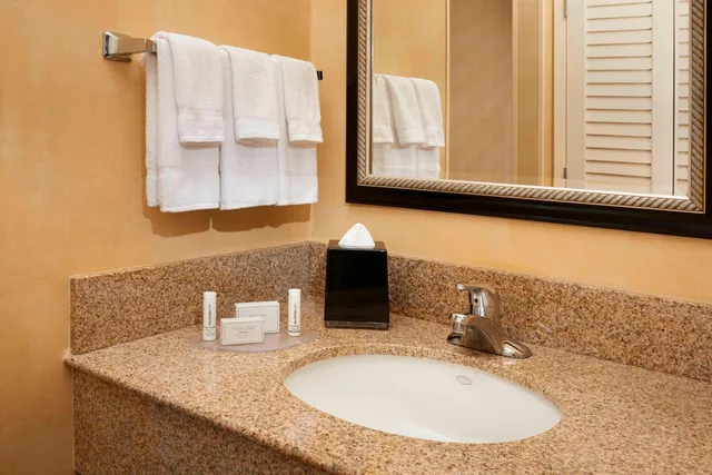 جناح بسرير مزدوج بإطلالة على الفناء، Courtyard By Marriott Detroit Metropolitan Airport Romulus 4/6