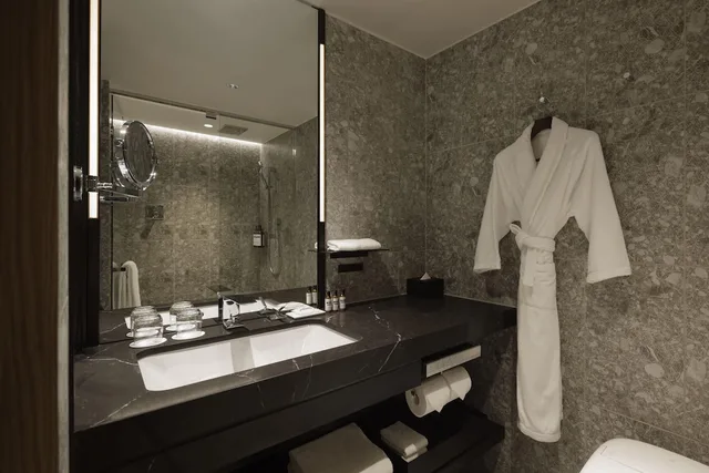غرفة بسرير كينج، Hyatt Regency Tokyo 3/6