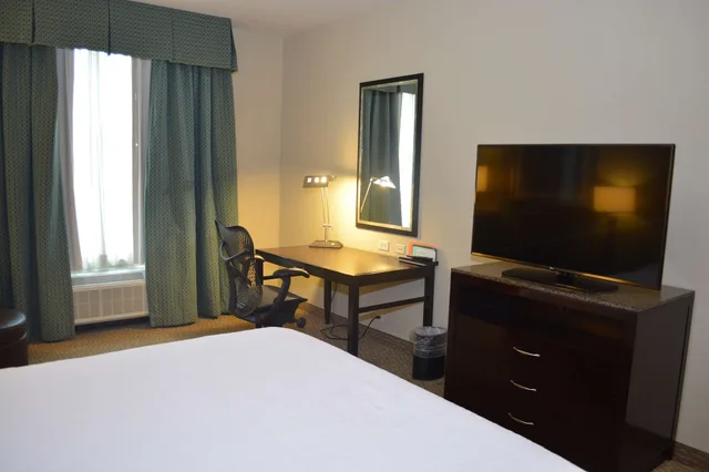 Evolution, King Bed، Hilton Garden Inn Houston/Pearland 3/6