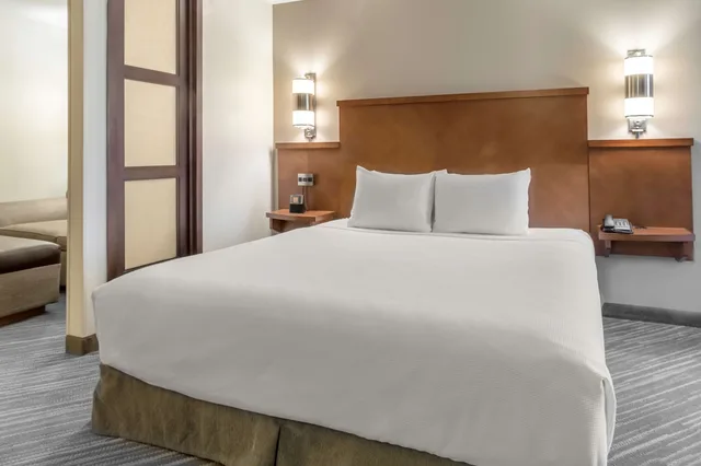 جناح استوديو بسرير كينج مع أريكة لذوي الإعاقة، Hyatt Place Richmond/Arboretum 1/2