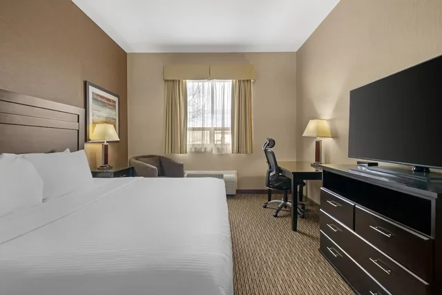 غرفة قياسية بسرير كينج لذوي الإعاقة، Best Western Estevan Inn & Suites 1/7