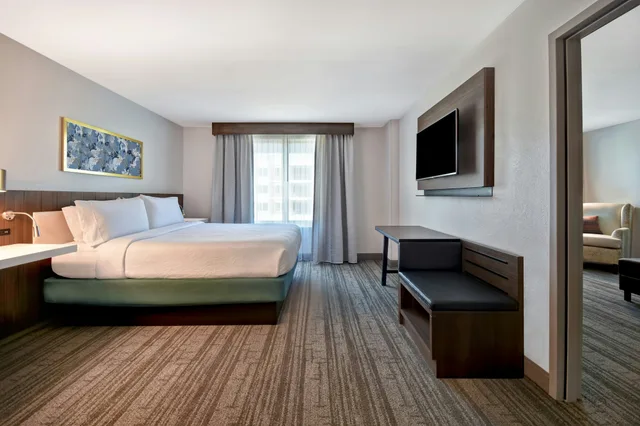 جناح بسرير كينج بغرفة نوم واحدة، Hilton Garden Inn Houston/Galleria Area 1/5