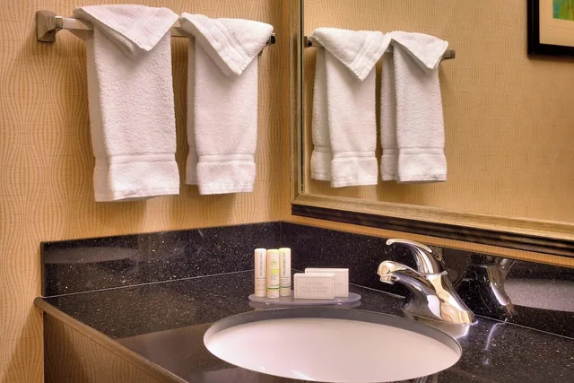 غرفة بسرير كينج لذوي الإعاقة، Fairfield Inn Suites Boise Nampa 4/4