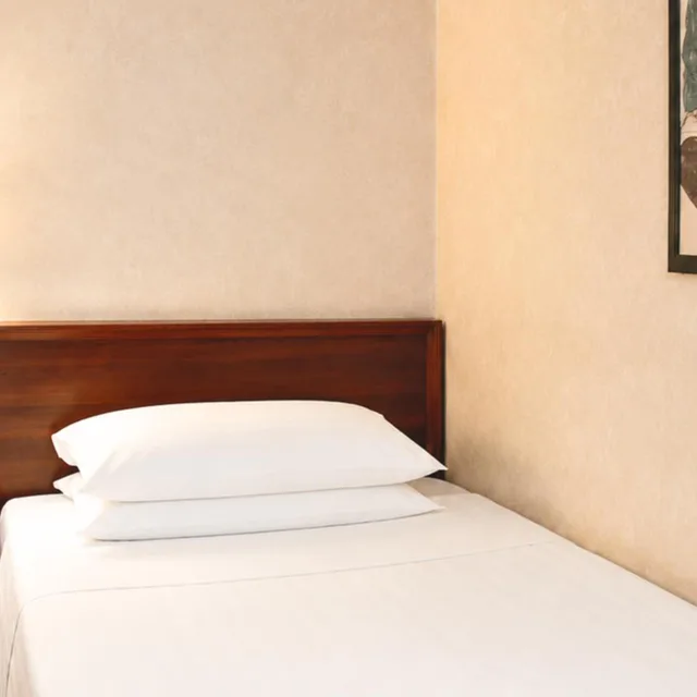 غرفة مفردة، Ambra Palace Hotel Pescara 4/7