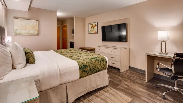 غرفة بسرير كينج لذوي الإعاقة، Best Western Premier I-95 Savannah Airport/ Pooler West 2/4