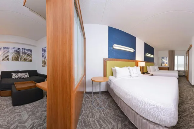 استوديو بسرير كوين مع أريكة لذوي الإعاقة، SpringHill Suites by Marriott Durham Chapel Hill 4/10