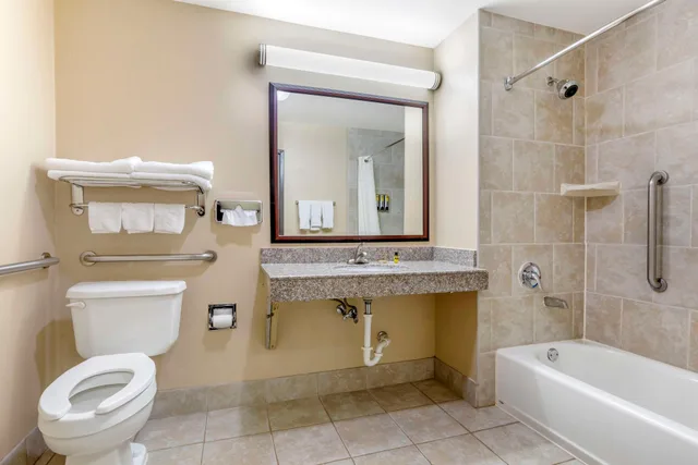 Room, King Bed, Jetted Tub, Accessible, Best Western Plus Burleson Inn & Suites 2/3