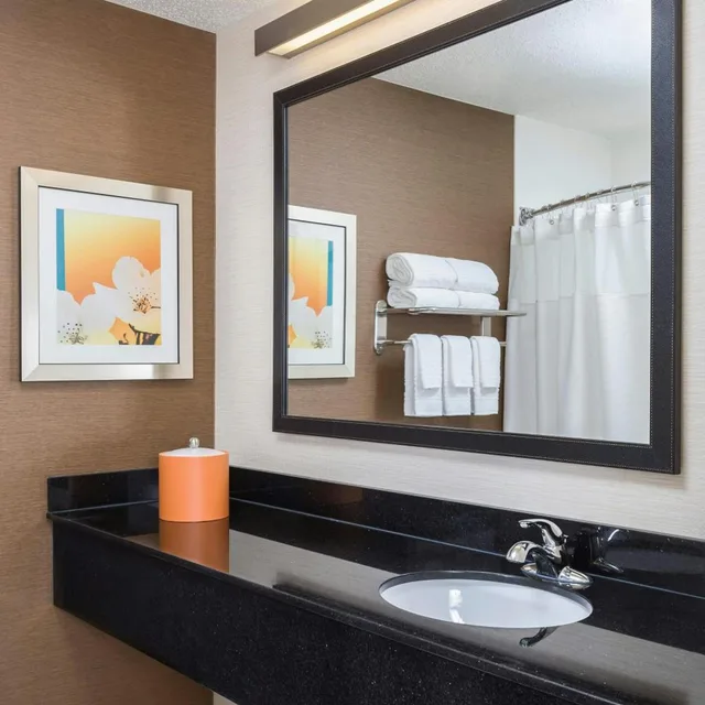Deluxe, King Bed, Sofa, Fairfield Inn & Suites Holland 3/4