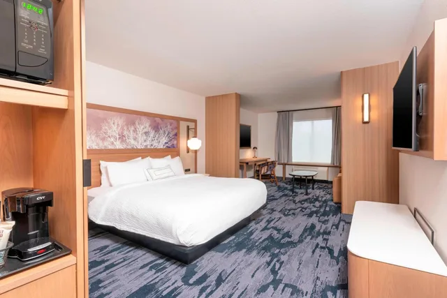 جناح استوديو بسرير كينج مع أريكة، Fairfield Inn And Suites Fair Oaks Farms 3/5