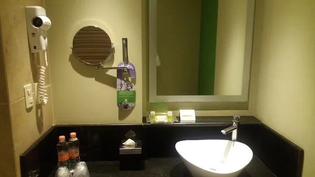 غرفة قياسية بسرير فردي، Holiday Inn Coatzacoalcos 2/2