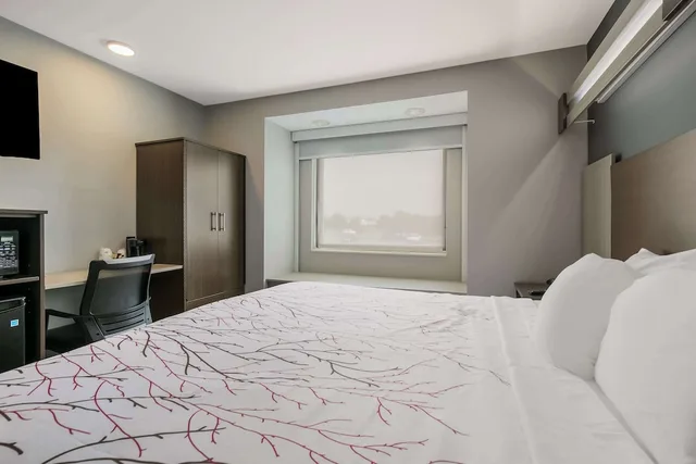 غرفة قياسية بسرير كينج لذوي الإعاقة، SureStay Plus Hotel by Best Western Sevierville 3/8