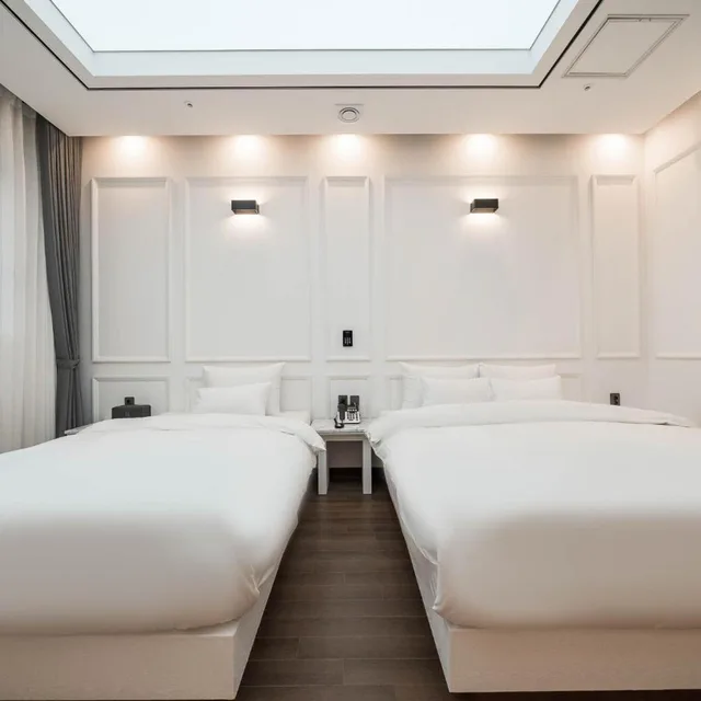 غرفة سوبيريور بسريرين منفصلين، Hotel Demer 5/10