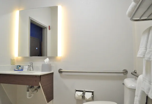 جناح بسرير كينج مع أريكة لذوي الإعاقة، Holiday Inn Express Hotel And Suites Batesville Ar 4/4