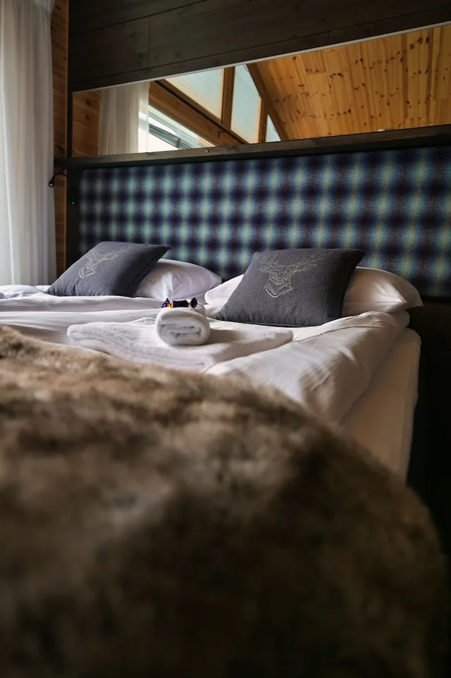 Suite, Twin Beds, with View, Sofa, Sauna، Star Arctic Hotel 7/10