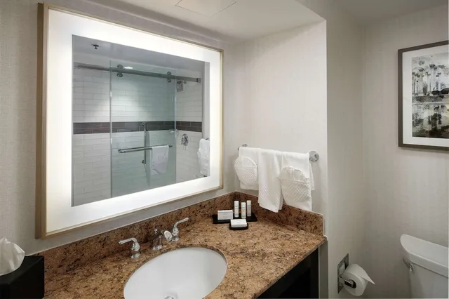 جناح بريميوم بسرير كينج بغرفتين، Embassy Suites Tysons Corner 2/4