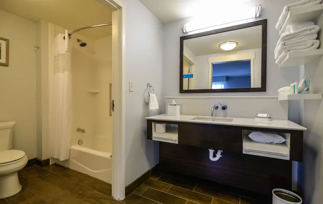 Studio, Suite, King Bed, Sofa, Hampton Inn Brighton Mi 4/7