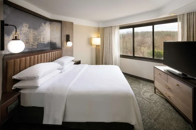 غرفة بسرير كينج مع أريكة لذوي الإعاقة، Embassy Suites Tysons Corner 4/4