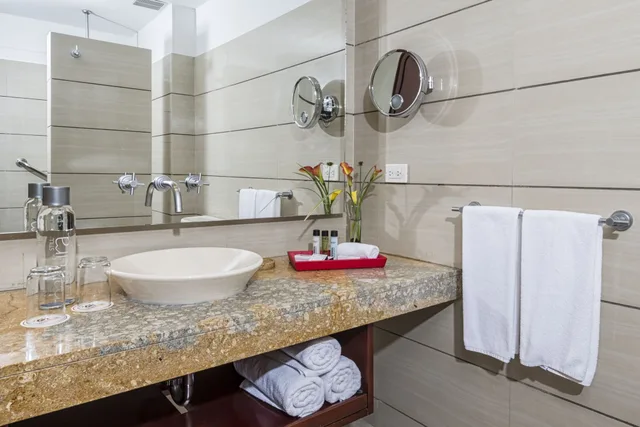 جناح جونيور بسرير كوين، Cosmos 100 Hotel and Centro de Convenciones - Hoteles Cosmos 6/6