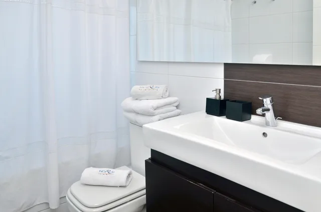 2 Bedrooms, Apartment, Balcony, Norus Apartments Las Condes 8/10