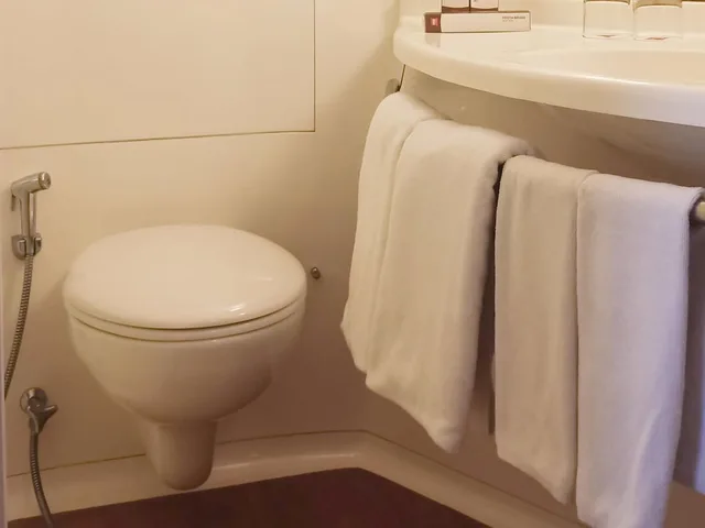 غرفة سوبيريور بسريرين منفصلين، Ibis Padang 8/8