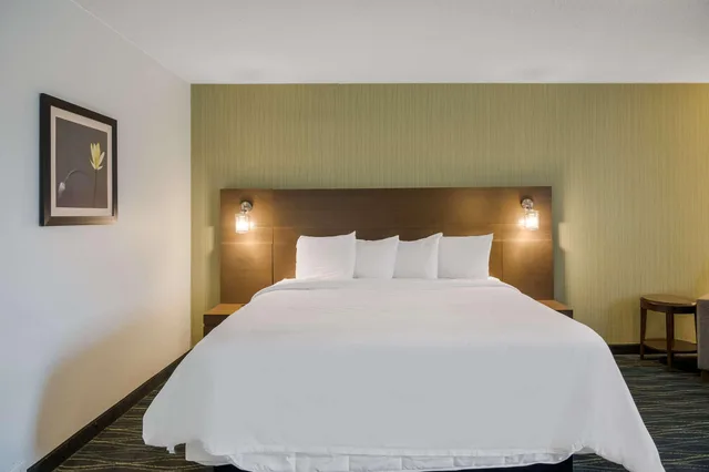 جناح بسرير كينج، Radisson Hotel Grand Rapids Riverfront 1/4