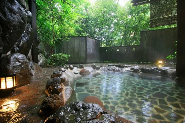 Japanese, Type B, Standard, Tatami, Smoking, Hakone Tonosawa Onsen Shiunso 1/2