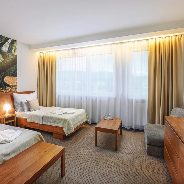 غرفة بسريرين منفصلين مع سرير إضافي، Hotel Janosik 2/3