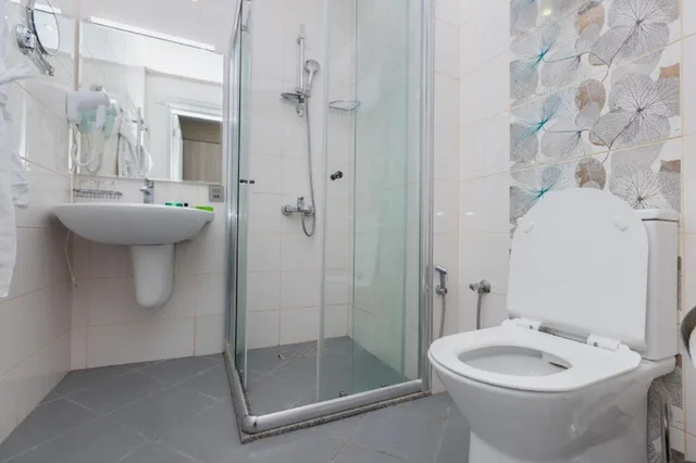 Economy, Double or Twin Bed, Grand Midway Hotel Baku 9/10