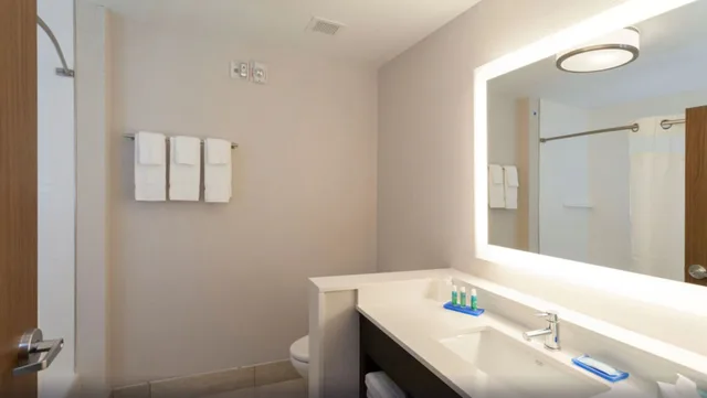 غرفة بسرير كينج، Holiday Inn Express & Suites Auburn Downtown 5/6