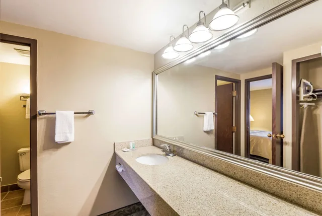 جناح بسرير كينج مع أريكة، Spark by Hilton Milwaukee Airport 5/5