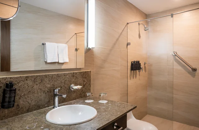 Plus, Twin Beds، Hotel Poblado Alejandria 7/7