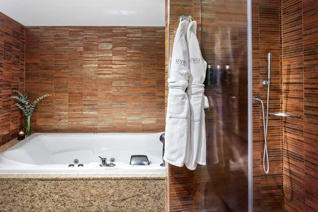 The Level, Suite, Melia Madrid Princesa Hotel 4/6