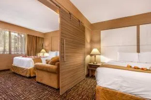 جناح بغرفة نوم واحدة، Ocean Beach Palace Hotel And Suites 9/10