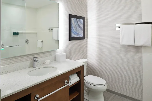 Studio, 2 Queen Beds, Bay View, Sofa, Balcony، Residence Inn St. Petersburg Tierra Verde 5/9