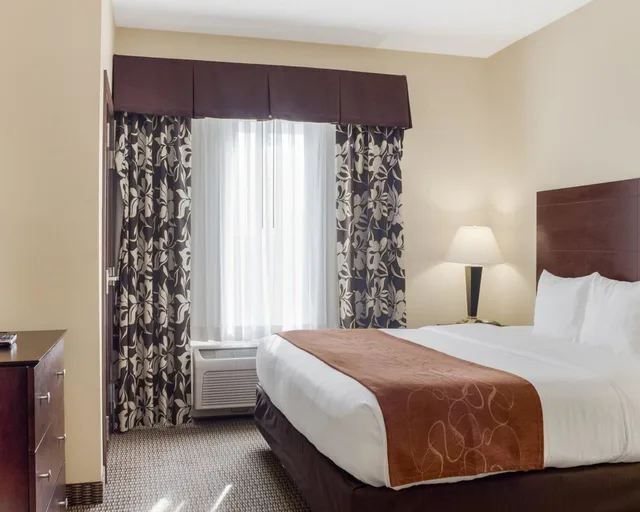 جناح بسرير كينج مع أريكة لذوي الإعاقة، Comfort Suites Conference Center Rapid City 3/5