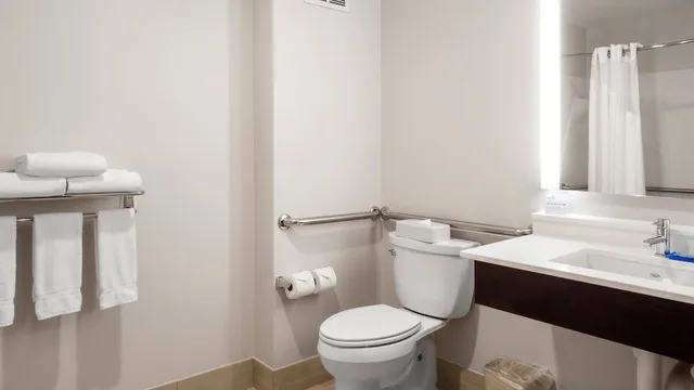 Suite, King Bed, Accessible, Holiday Inn Express Hotel & Suites Newton Sparta 6/7