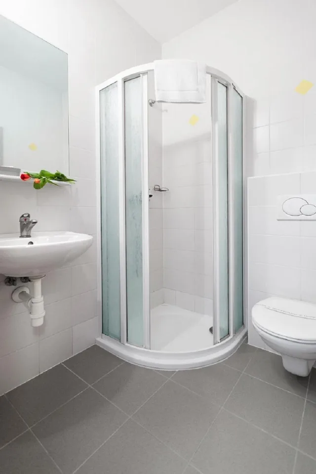 غرفة بسرير مزدوج أو سريرين منفصلين، Hotel Panská Lícha 8/8