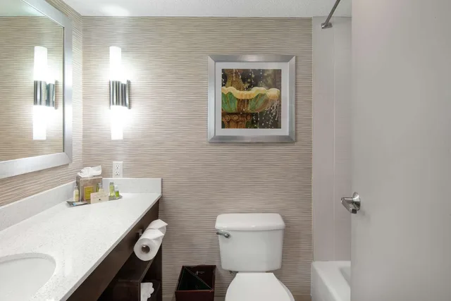 جناح ديلوكس بسرير كينج، Doubletree By Hilton Hotel Jacksonville Airport 3/4