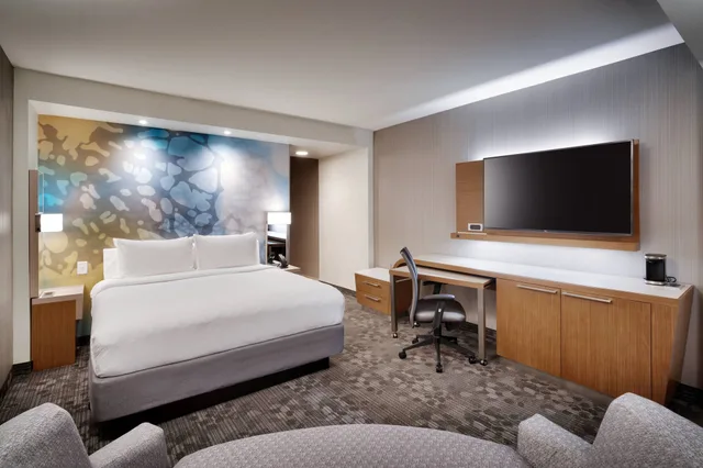 غرفة بسرير كينج مع أريكة لذوي الإعاقة، Courtyard by Marriott Atlanta Duluth Downtown 2/4