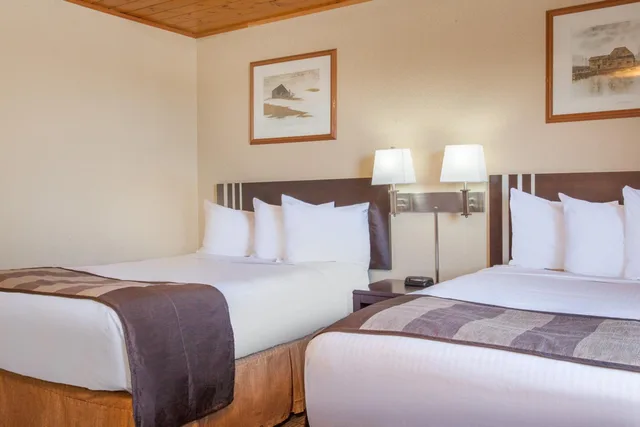 Upgrade, 2 Queen Beds، Econo Lodge Inn & Suites Medicine Hat Highway 1 8/10