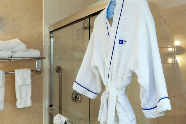 غرفة تنفيذية بسريرين مزدوجين لذوي الإعاقة، Wyndham Boston Beacon Hill 3/3