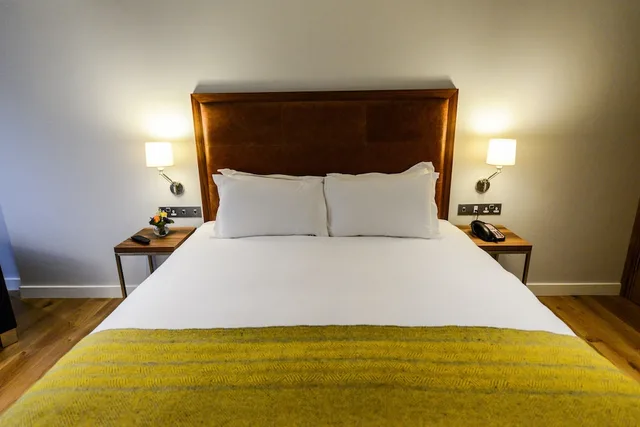 غرفة بسرير كينج لذوي الإعاقة، Premier Suites Plus Ballsbridge 1/1