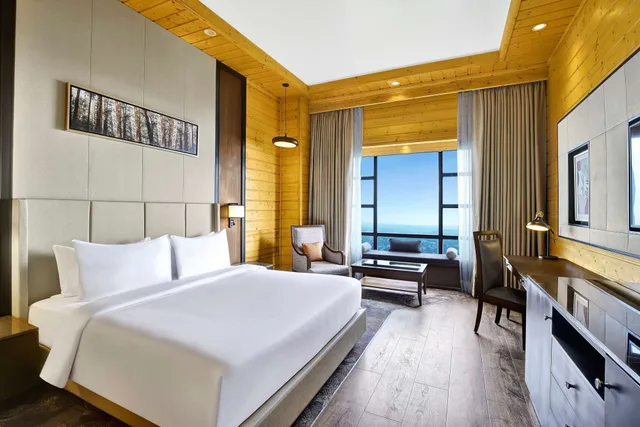 جناح جونيور بسرير كينج، Radisson Blu Resort Dharamshala 1/10